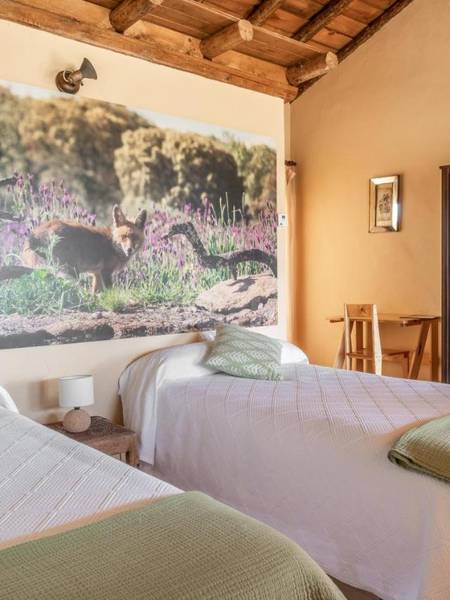 Lodge Campanarios- El Lodge - 3