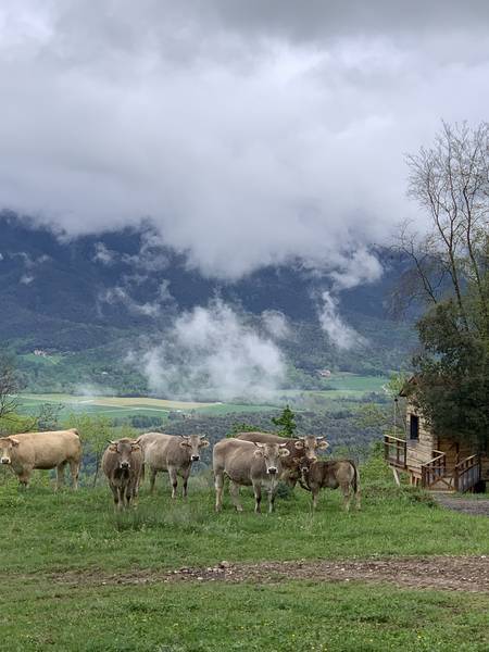 Cabanyes entre Valls- Tiendas Glamping - 5