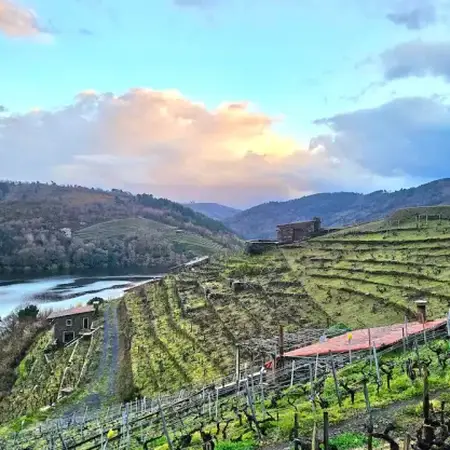 Viña Candaz