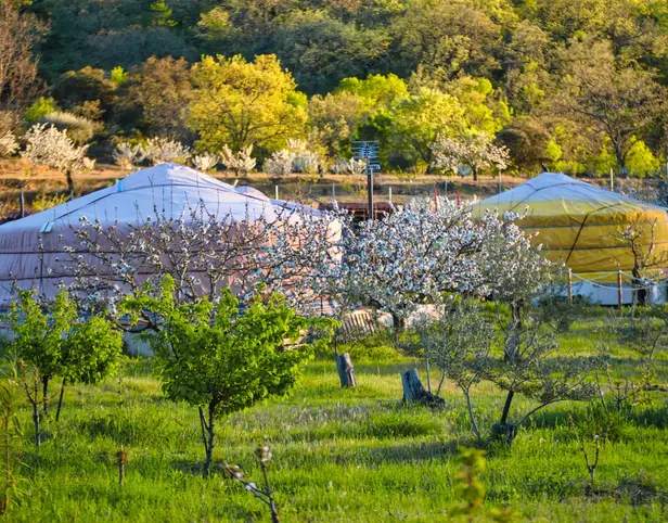 Dormir en un Yurta Mongola: Vive una Experiencia Única