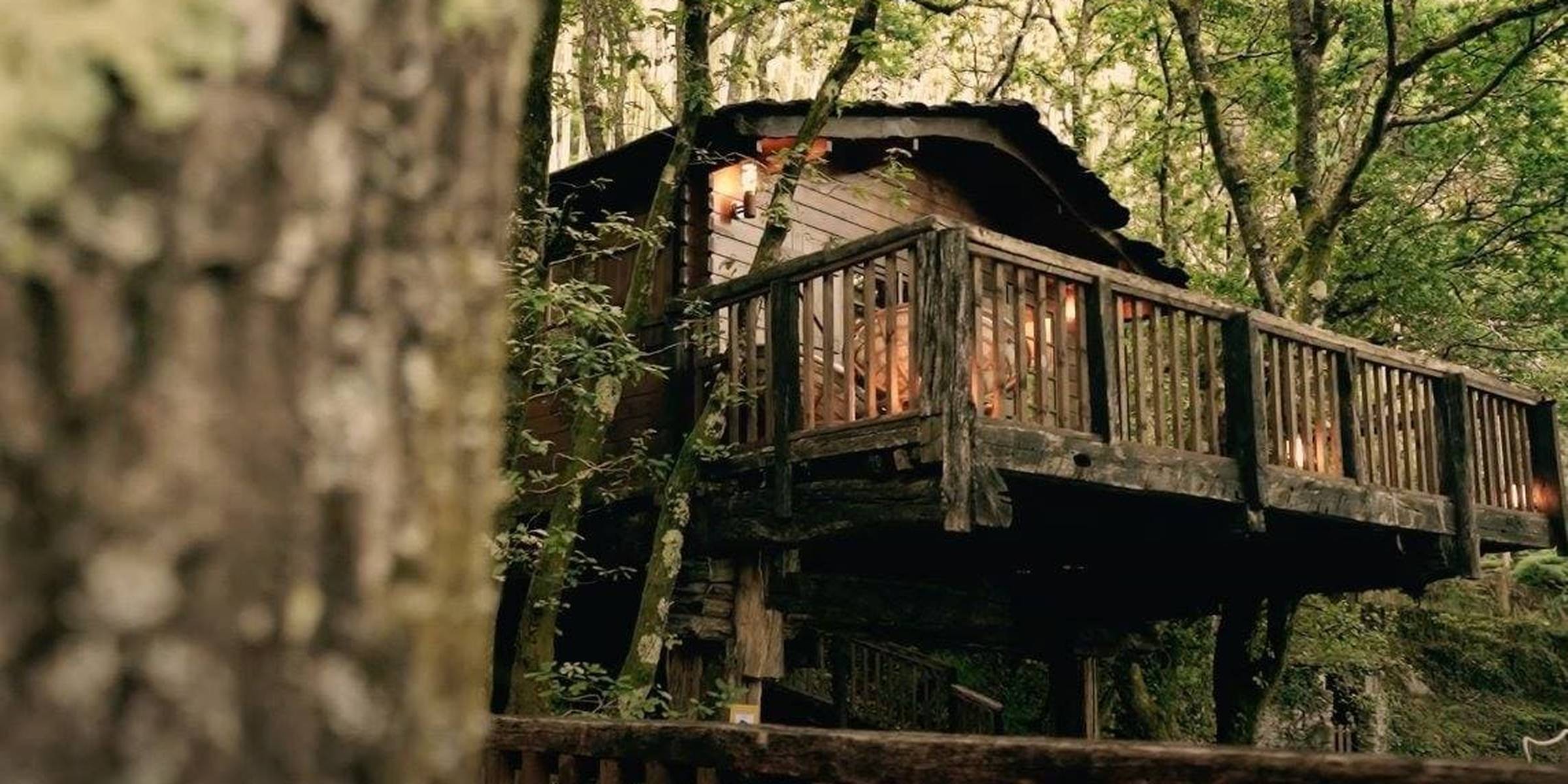 Cabañas en los árboles: vive una aventura única en las alturas