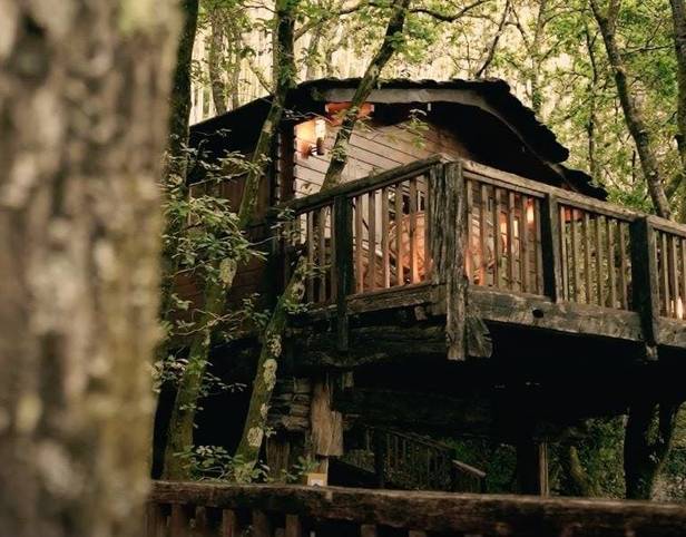Cabañas en los árboles: vive una aventura única en las alturas