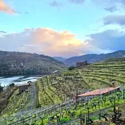 Viña Candaz