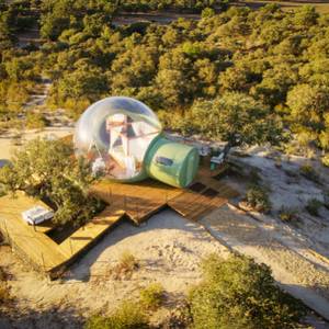 Burbuja Cigüeña Negra