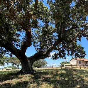 La casita de campo