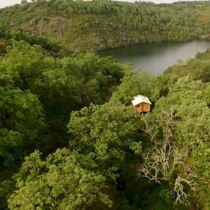Cabaña Musgo