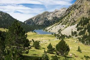 Pirineos