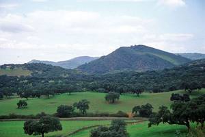 P.N. Sierra de Aracena y Picos de Aroche