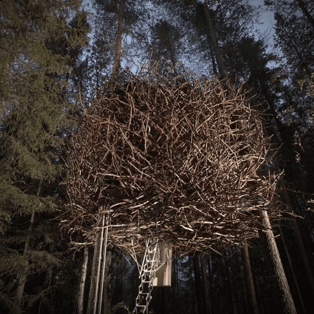 tree