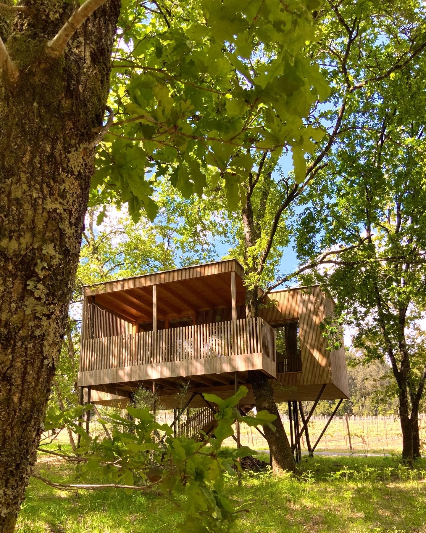 Cabaña en los árboles entre la naturaleza, una experiencia única en España