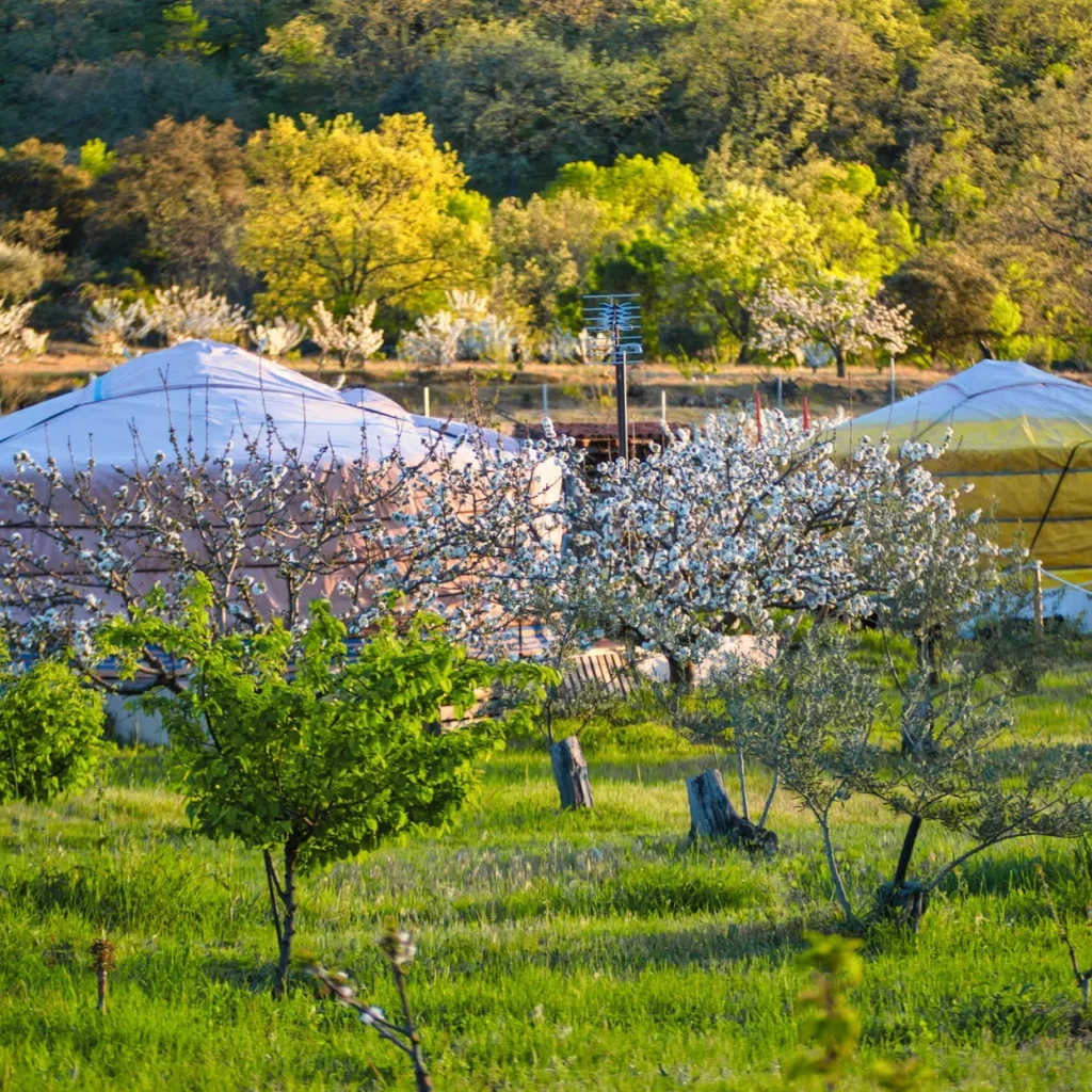 Exterior de Yurta Mongola, en el Valle del Jerte para alojarte y disfrutar de la berrea