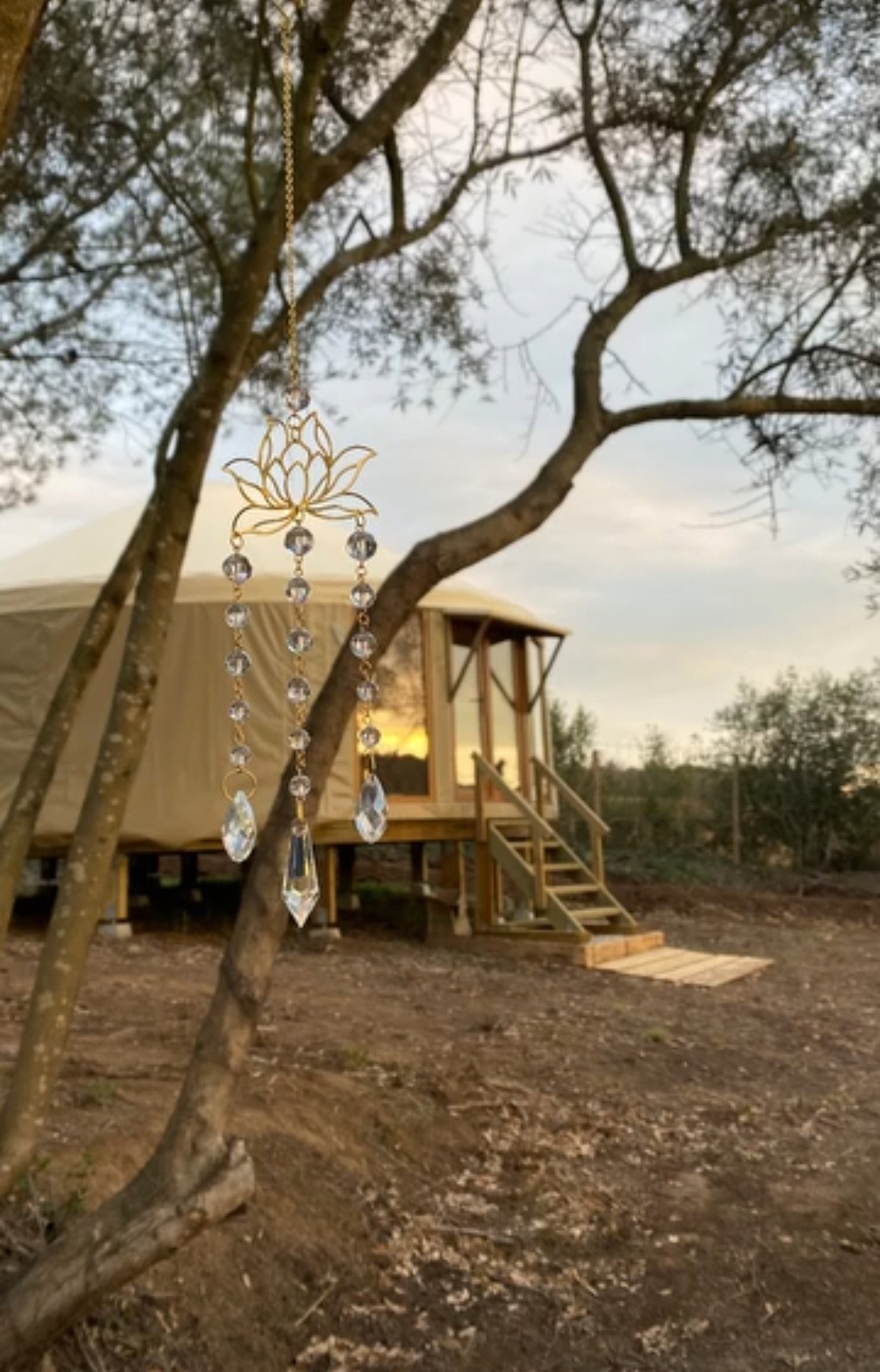 Yurta para Actividades (Yoga, Meditación, Pilates,...) - Imagen 6