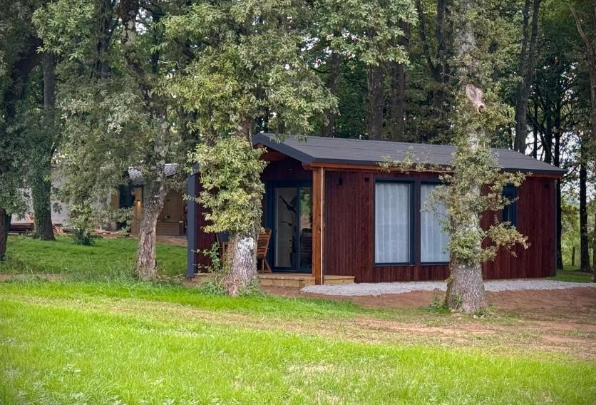 VENTA DE CABAÑAS para COMPLEJOS TURÍSTICOS, CAMPING o GLAMPING. diseños propios y A MEDIDA. - Imagen 6
