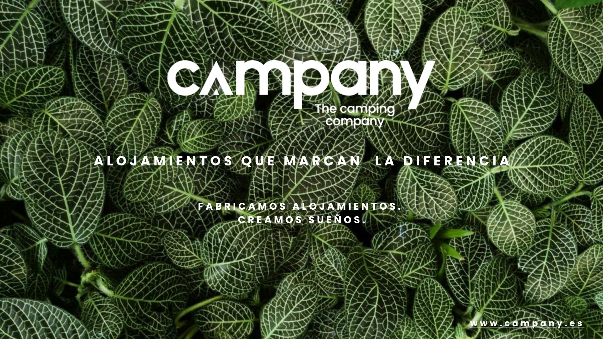Nuestra linea de alojamientos