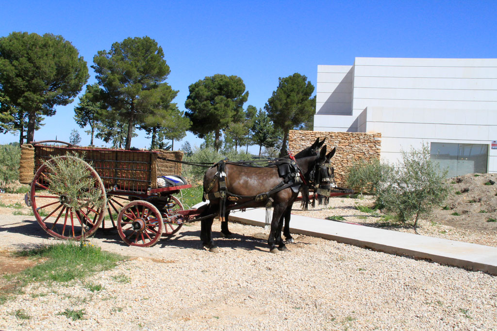PROYECTO HOTEL ALMAZARA LUZ DE ALBA