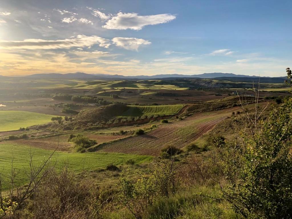 PROYECTO GLAMPING ALTO TAJO, GUADALAJARA