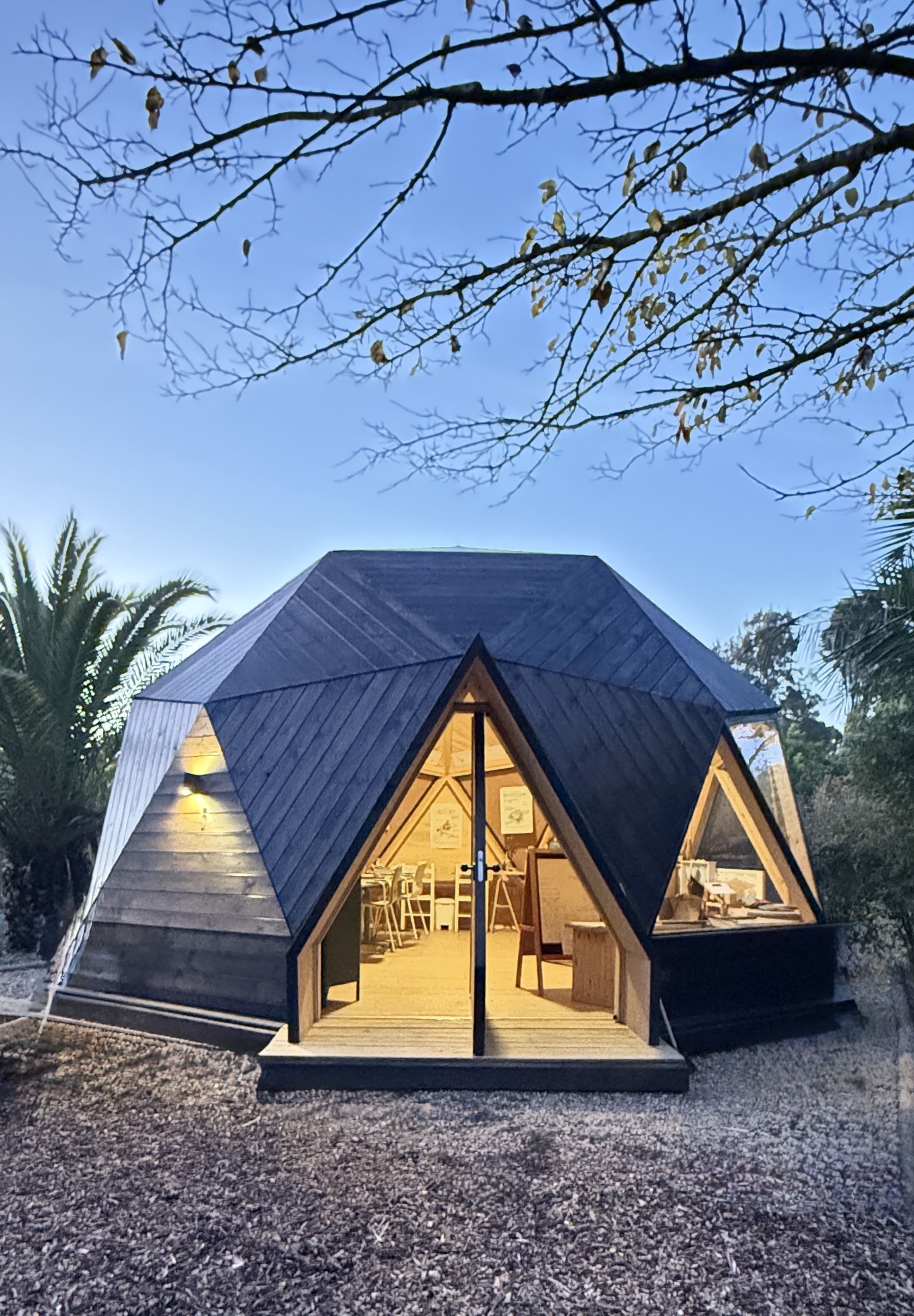 The Forest Studio